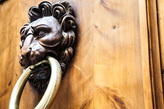 Lion Head Door Knocker