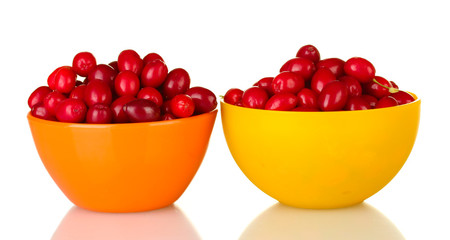 fresh cornel berries in colorful bowls isolated on white