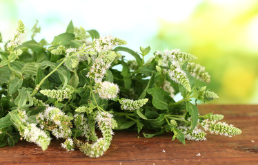 Fresh mint on green background close-up