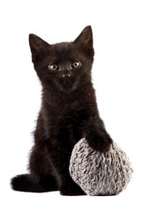 Black kitten with a woolen ball