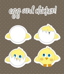 chicken