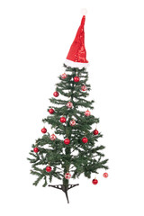 An isolated Christmas tree