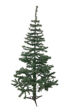 An isolated Christmas tree