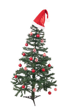 An isolated Christmas tree
