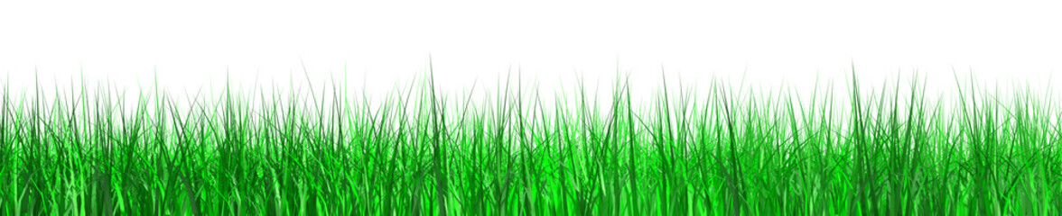 green grass