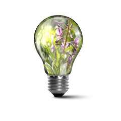 Ecology bulb light