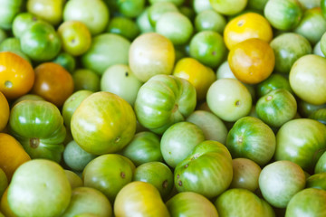 Thai Green Eggplant