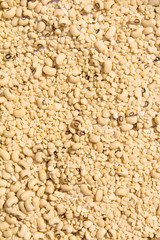 soy bean background