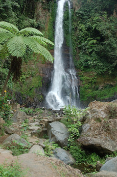 Cascade de Gitgit (Bali)