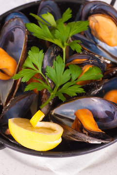 Mussels