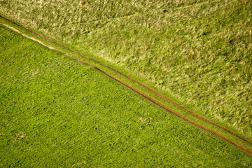 Green meadow diagonal tractor track