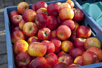 Apples for sale on marketplace