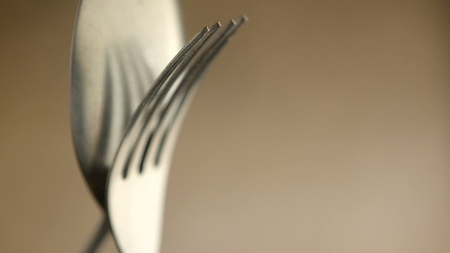 46905944
