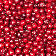 red cherry