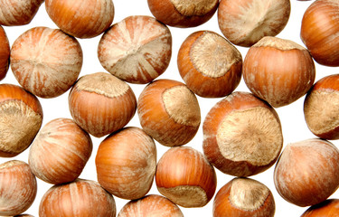 nuts