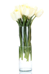 beautiful tulips in glass vase isolated on white.