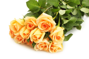 beautiful bouquet of roses isolated on white