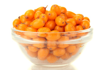 sea buckthorn in glass bowl isolated on white