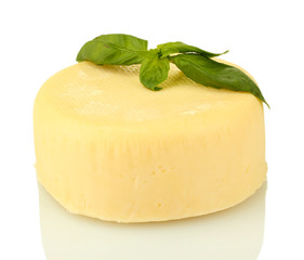 cheese mozzarella with green basil isolated on white