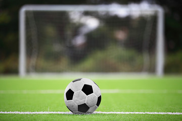 soccer ball on green grass