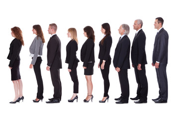 Line of business people in profile