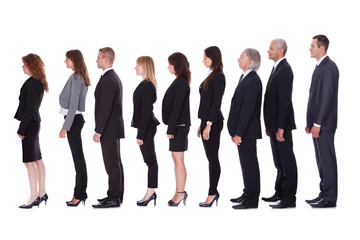 Fototapeta premium Line of business people in profile
