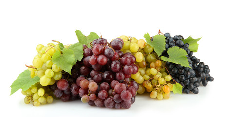 assortment of ripe sweet grapes isolated on white.