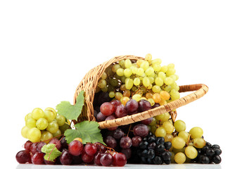 assortment of ripe sweet grapes in basket, isolated on white.