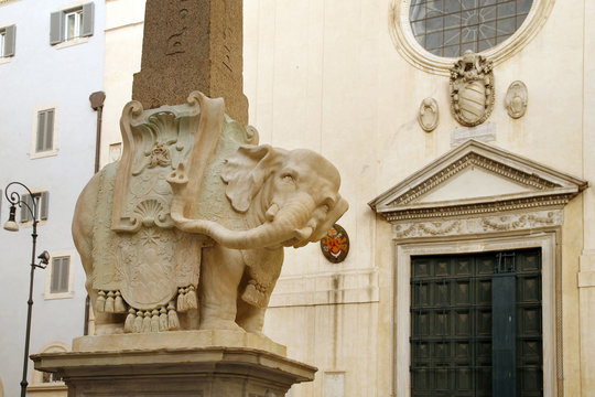 Roma, elefantino del Bernini e piazza della Minerva