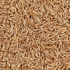 caraway seeds