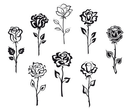 Set of rose flowers