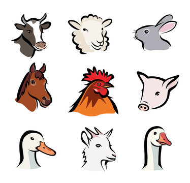 farm animals, set of vector icons