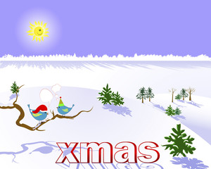 Christmas landscape with two birds.