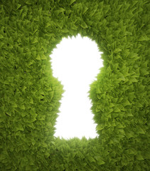 Garden keyhole