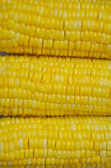 Corn