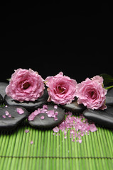 Obraz na płótnie Canvas Three rose with many pink salt with mat on black grouns
