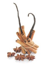 Cinnamon Sticks, Anise Star and Vanilla Pods