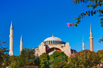 Fototapeta na wymiar Hagia Sophia w Stambule Turcja