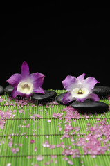 Fototapeta na wymiar Two pink orchid with zen stone and pile of sea salt on mat