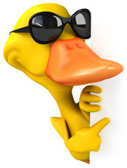 Fun duck © Julien Tromeur