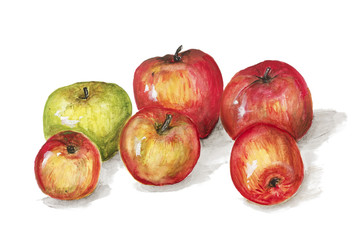 Green and red apples  fruits