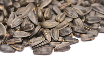 sunflower seeds