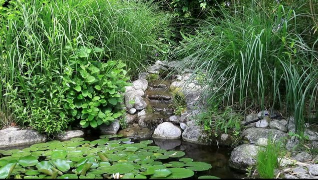 jardin zen