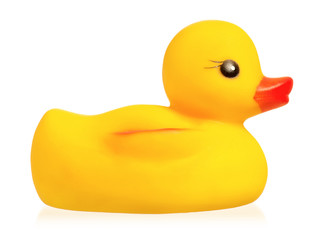 Rubber duck