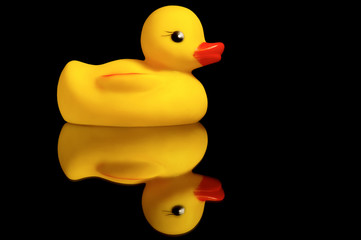 Rubber duck