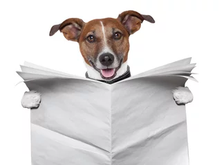 Fotobehang Grappige hond dog blank newspaper