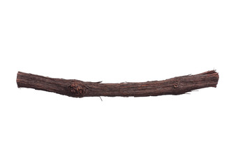 Tree branch