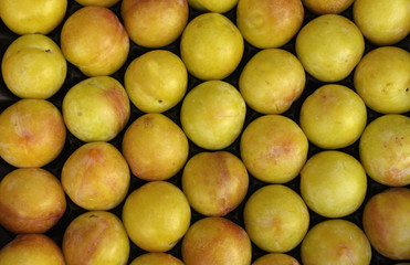yellow plum