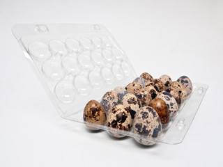 Wachteleiertransportschale