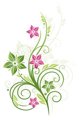 Frühling, frame, Blätter, Blumen, Ranke, grün, pink